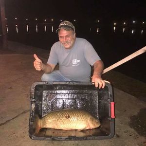 Meet your Posher, Roger